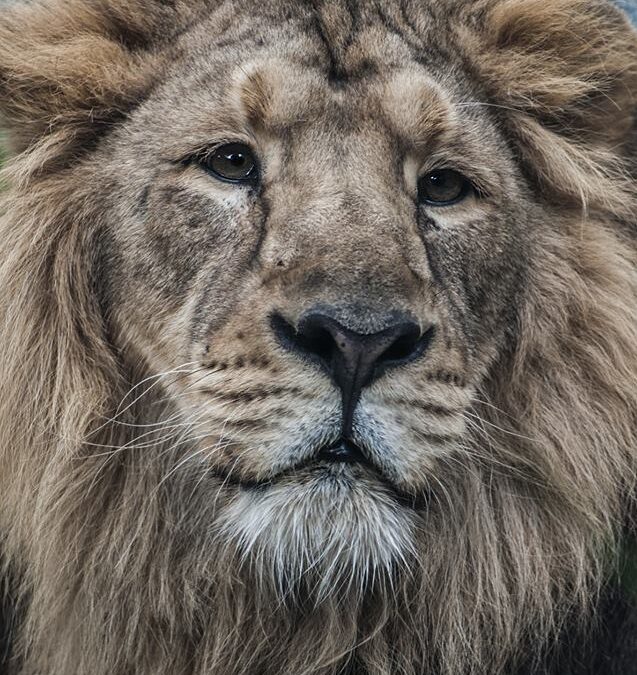 OGRÓD ZOOLOGICZNY W KRAKOWIE