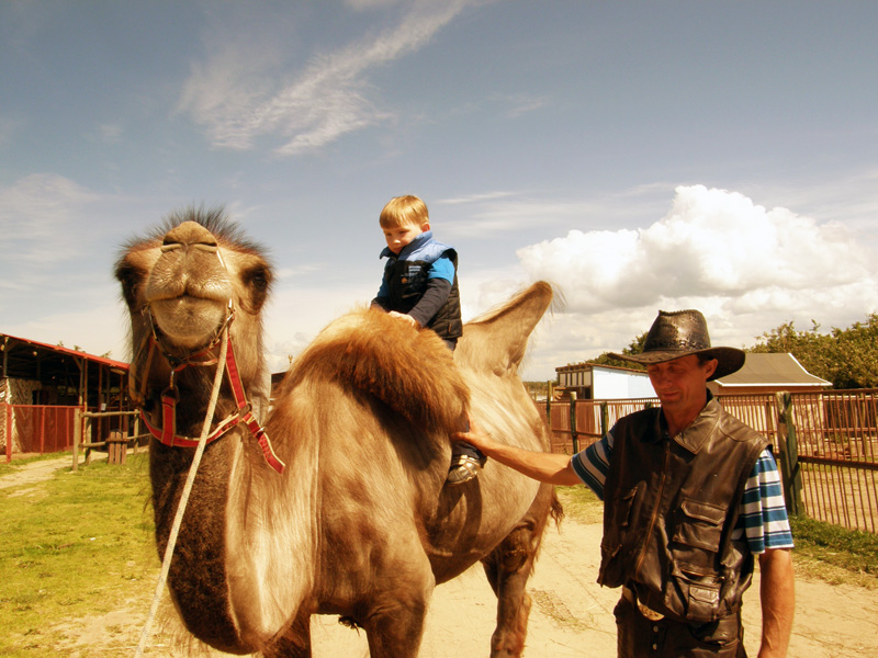 MINI ZOO W ZIELENIEWIE K.KOŁOBRZEGU