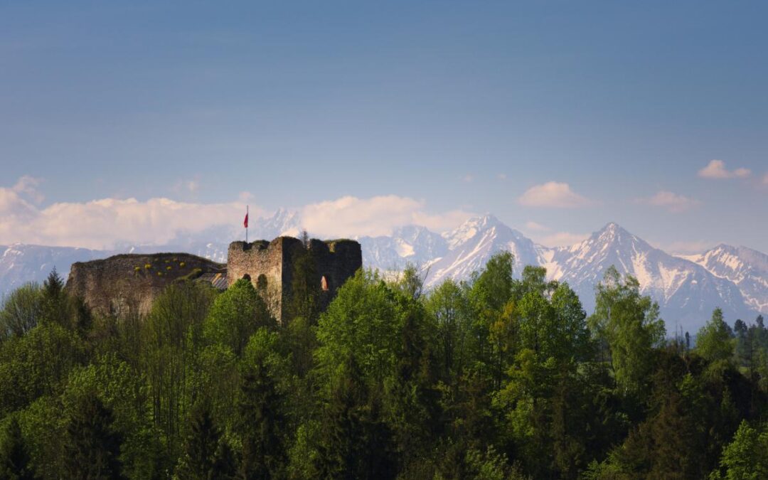 ZAMEK W CZORSZTYNIE (PIENINY)
