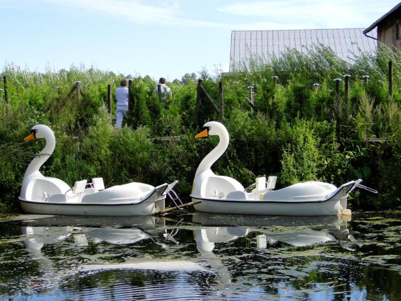 BAJKOWY ŚWIAT KŁOBUKA