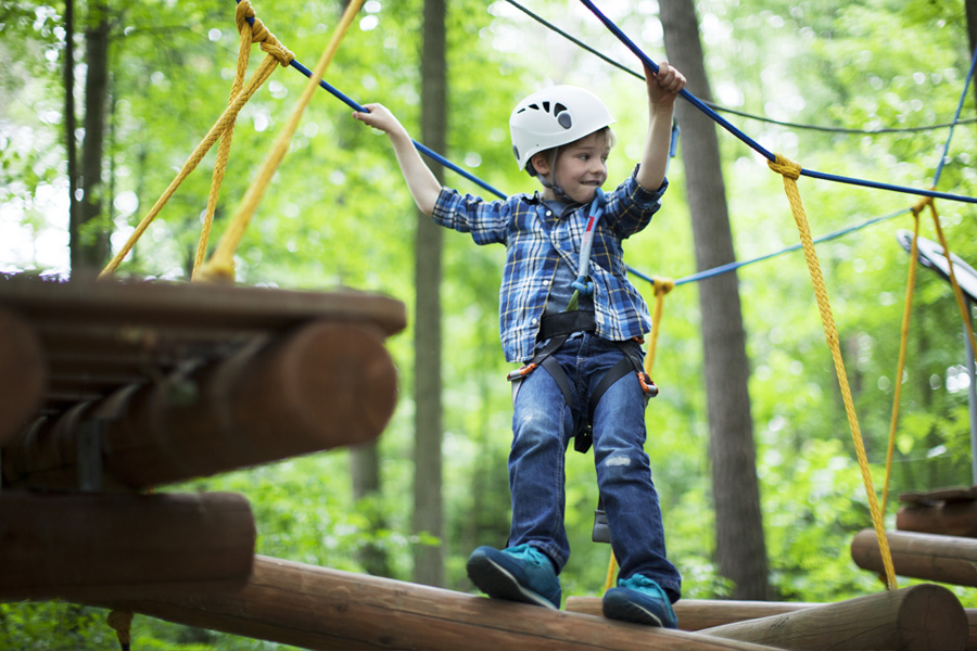 LEMUR PARK – EKSPONATY Z PRZESZŁOŚCI –  RUMIA