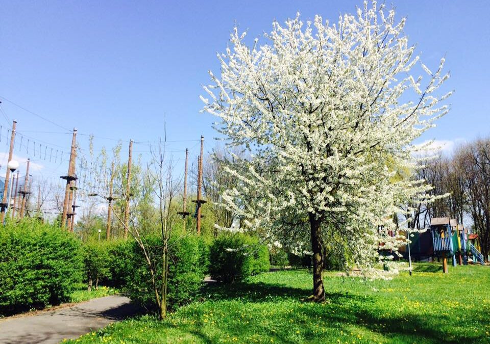 KOLEJ LINOWA „SZYNDZIELNIA” W BIELSKO-BIAŁEJ