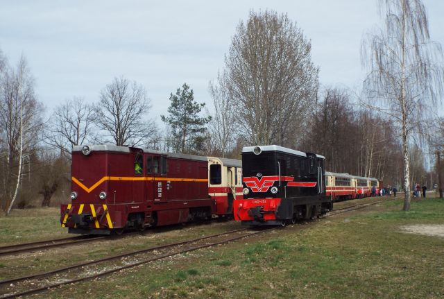 KOLEJKA WĄSKOTOROWA W PIASECZNIE