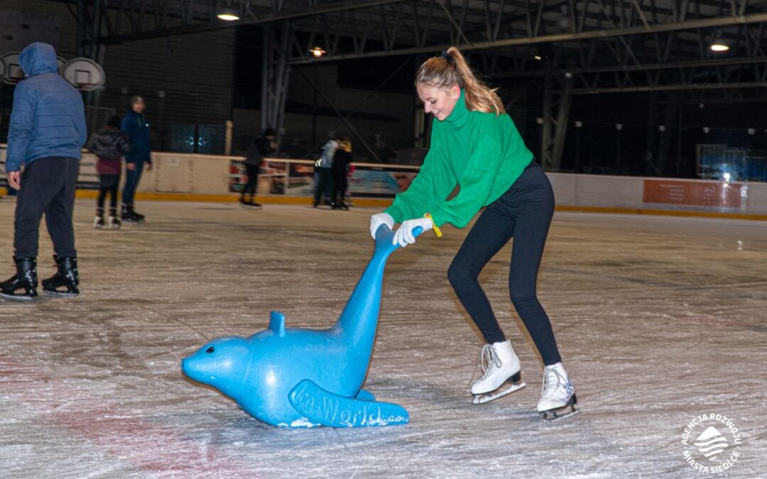 LODOWISKO SZTUCZNE SIEDLCE