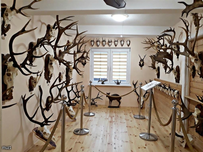 MUZEUM PRZYRODNICZO-MYŚLIWSKIE – KRYNICA MORSKA