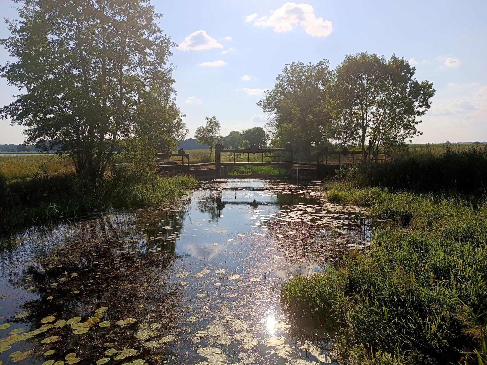 IMG_20230624_175611-2