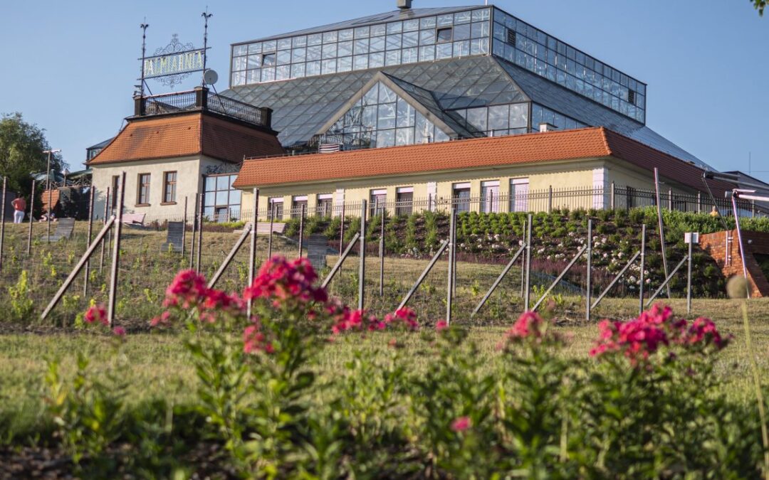 PALMIARNIA I PARK W ZIELONEJ GÓRZE