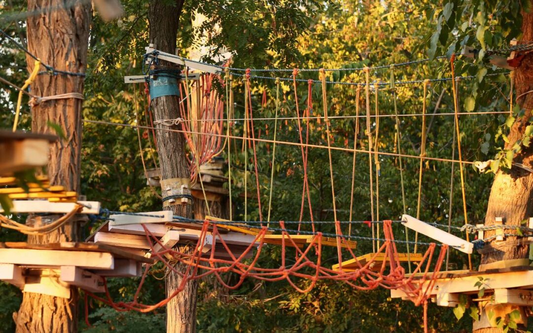 PARK LINOWY FANTAZJA W DĘBKACH