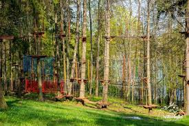 PARK LINOWY W MIKOŁAJKACH