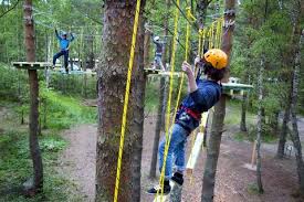 PARK LINOWY TARZANEK – DĘBKI